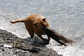 IMG_4537