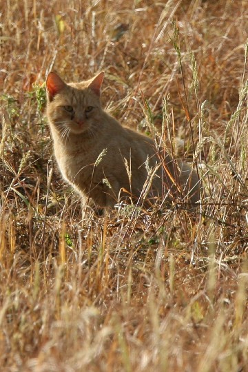 IMG_9879_r1.jpg