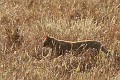 IMG_9873_r1