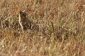 IMG_9877_r1