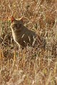 IMG_9879_r1