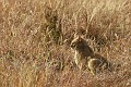 IMG_9883_r1