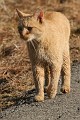 IMG_9902_r1