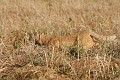 IMG_9905