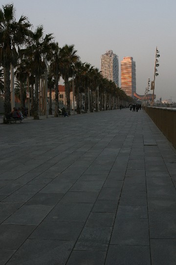 IMG_9317_r1.jpg