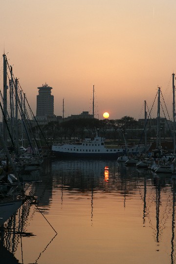 IMG_9326.JPG