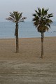 IMG_9309