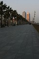 IMG_9317_r1