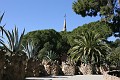 IMG_9677