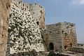 IMG_0977