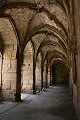 IMG_1016