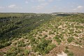 IMG_1109
