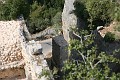 IMG_1111