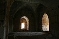 IMG_1113