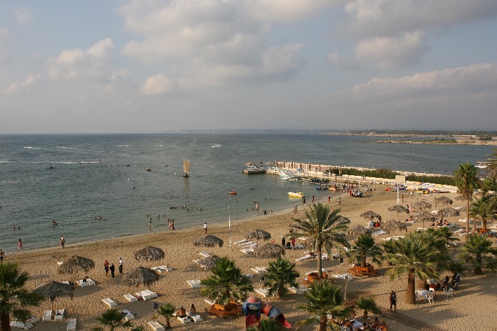 IMG_1134.JPG