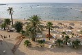 IMG_1137