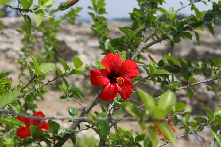 IMG_1144.JPG