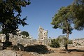 IMG_1220