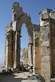 IMG_1245