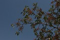 IMG_1709