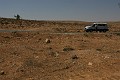 IMG_1712