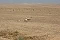 IMG_1722_r1