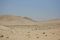 IMG_1729_r1