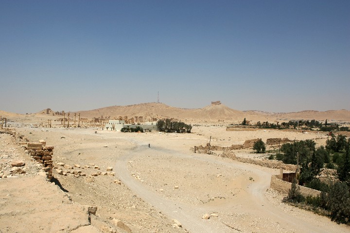 IMG_2140_r1.jpg