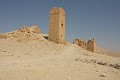 IMG_1956