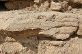 IMG_1967