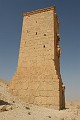 IMG_1981