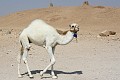 IMG_2025_r1