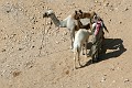 IMG_2050_r1