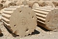 IMG_2146_r1