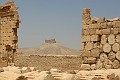 IMG_2150_r1