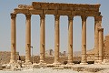 IMG_2154_r1