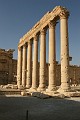 IMG_2176