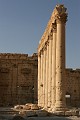 IMG_2215
