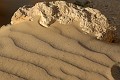 IMG_2244_r1