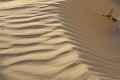 IMG_2248_r1