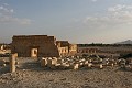 IMG_2252