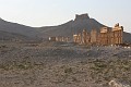IMG_2257