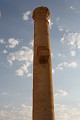 IMG_2260