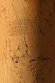 IMG_2268_r1