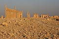 IMG_2284_r1