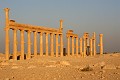 IMG_2289_r1