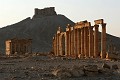 IMG_2291_r1
