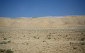 IMG_2339_r1