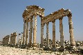 20080814_3_Apamee