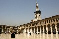 20080819_1_Damas